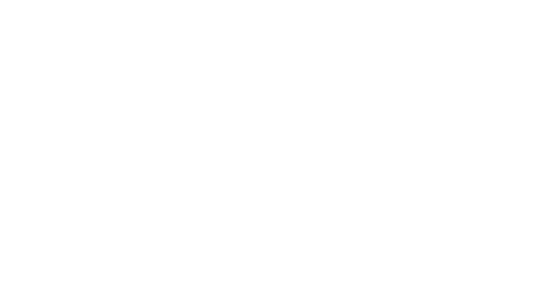 ZONA logo large 2